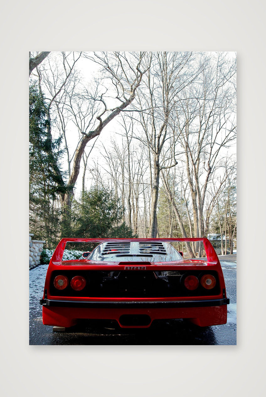 F40 — A4 (21×30cm, 8×12") Print only
