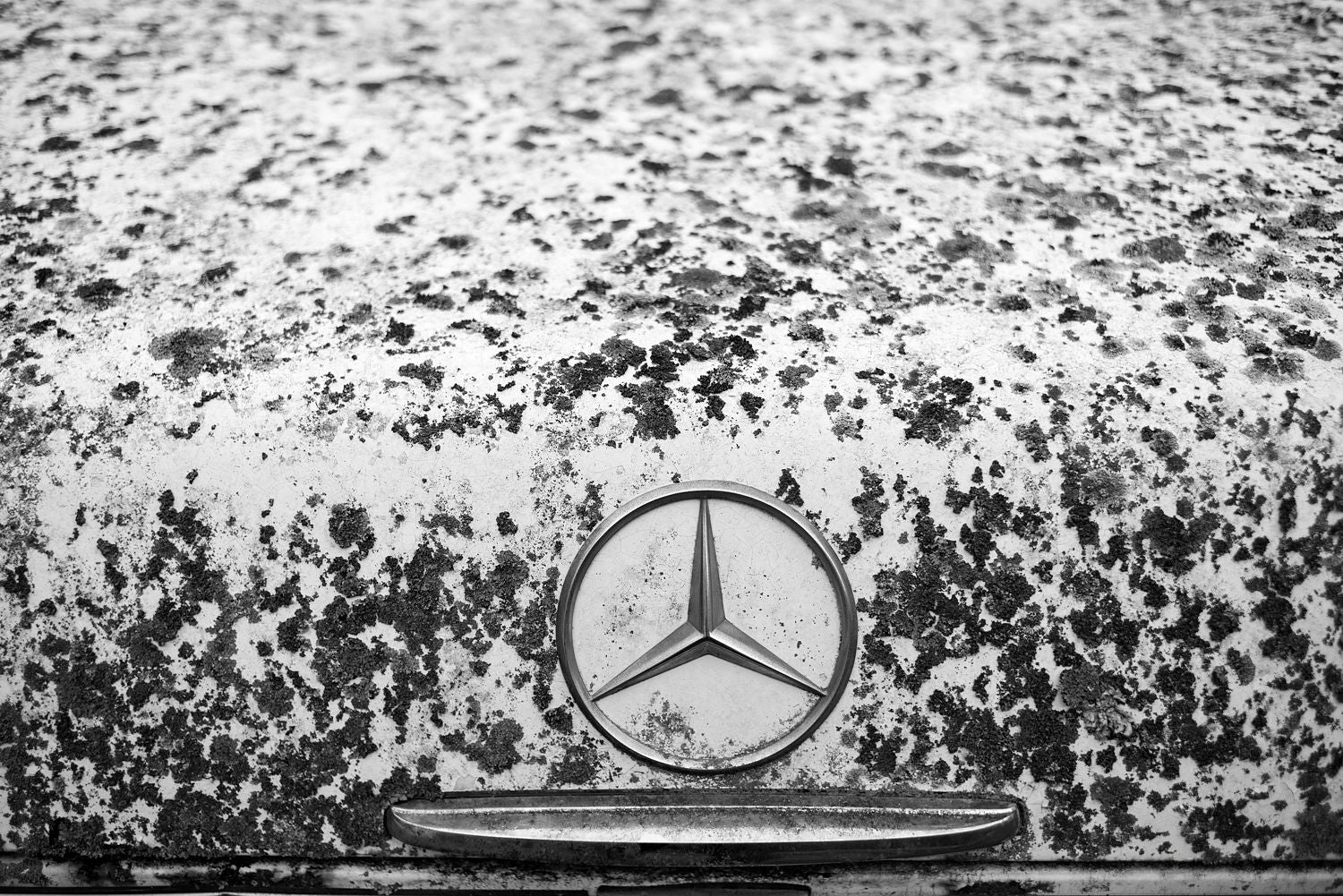 Forgotten Mercedes