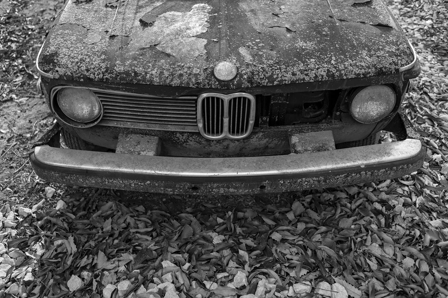 Forgotten BMW 2002