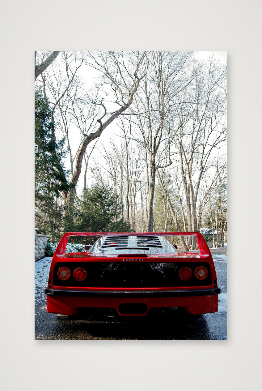 F40 — 30×45cm, 12×18" Print only